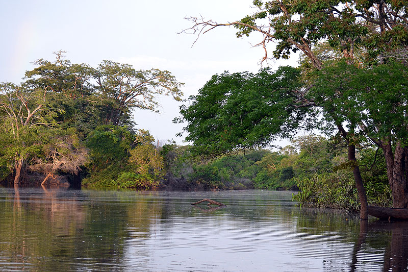 GY0917ED176_caiman-house.jpg [© Last Frontiers Ltd]