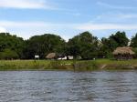 Image: Rewa - The Rupununi savannas, Guianas