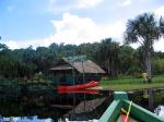 Image: Timberhead - The Central forest zone, Guianas