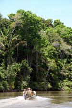 Image: Maparri - The Rupununi savannas