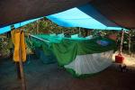 Image: Maparri Wilderness Camp - The Rupununi savannas, Guianas