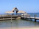 Image: Luna Beach - The Bay Islands, Honduras