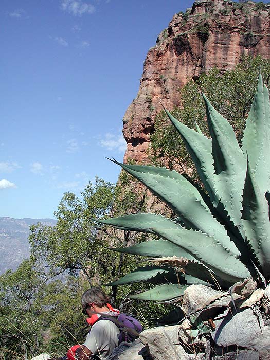 MX0304EM187_copper_canyon_hike.jpg [© Last Frontiers Ltd]