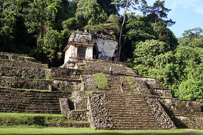 MX0906EP267_palenque.jpg [© Last Frontiers Ltd]