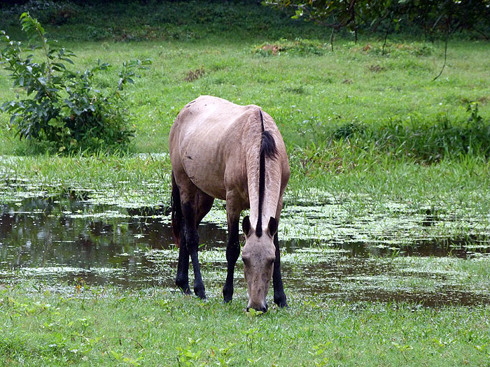 NI0913SM0941_ometepe.jpg [© Last Frontiers Ltd]