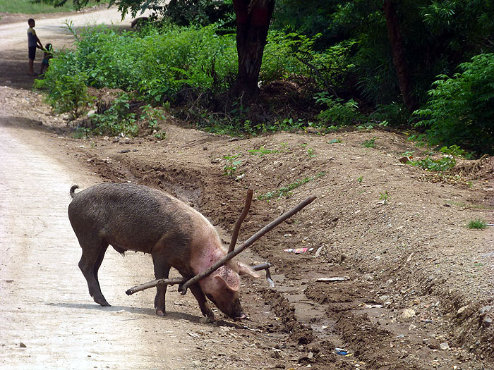 NI0913SM1158_nicaragua.jpg [© Last Frontiers Ltd]