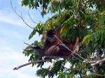 Image: Lake Nicaragua - Granada and Ometepe