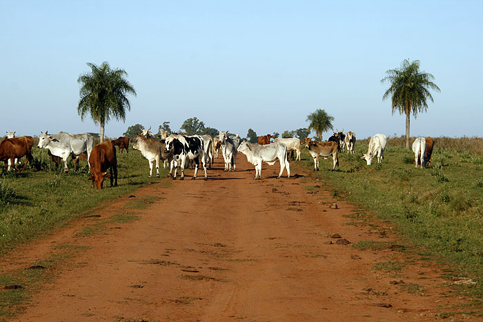 PY0511EM111_estancia-tacuaty.jpg [© Last Frontiers Ltd]