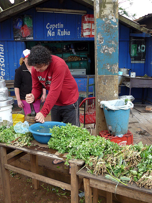 PY0909EP559_roadside-terere.jpg [© Last Frontiers Ltd]