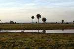 Image: Estancia Tacuaty - The Southern Missions, Paraguay