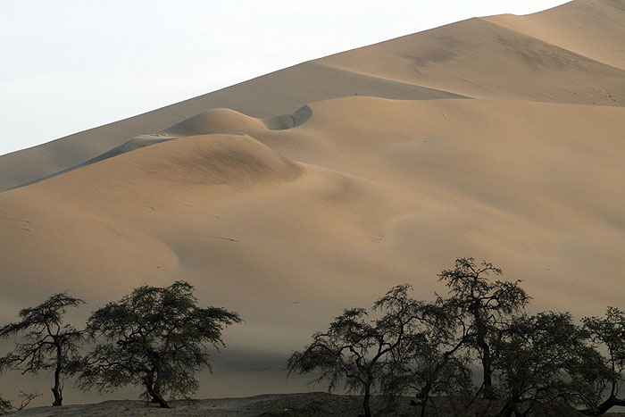 PE0508EM0333_huacachina.jpg [© Last Frontiers Ltd]