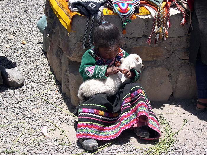 PE1105SM110_colca_valley_patahuasi.jpg [© Last Frontiers Ltd]