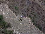 Image: Choquequirao - The Inca Trails