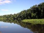 Image: Manu Wildlife Centre - Tambopata and Manu