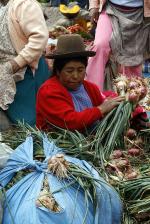 Image: Pisaq - Sacred Valley