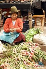 Image: Pisaq - Sacred Valley