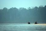 Image: Tambopata Research Centre - Tambopata and Manu