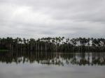 Image: Sandoval Lake Lodge - Tambopata and Manu, Peru