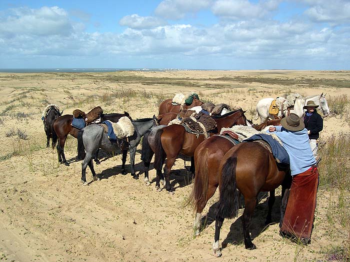 UR0405SM314_Ride_to_Cabo_Polonio.jpg [© Last Frontiers Ltd]