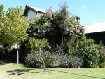 Image: Casa de los Limoneros - Colonia and surrounds, Uruguay