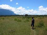 Image: Carrao savanna - Canaima and Angel Falls