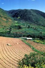 Image: The Andes - The Andes, Venezuela