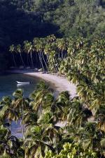 Image: Playa Medina - The Paria Peninsula