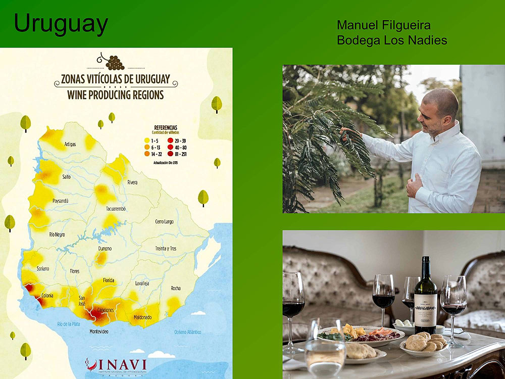 008UR2008EP_webinar-wine-uruguay.jpg [© Last Frontiers Ltd]